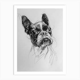 Boston Terrier Dog Charcoal Line 1 Art Print
