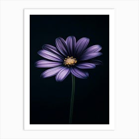 Purple Flower 1 Art Print