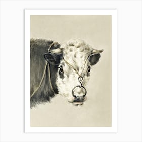 Head Of A Cow, With A Ring Through The Nose, Jean Bernard Art Print