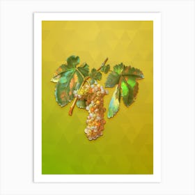 Vintage Trebbiano Grapes Botanical Art on Empire Yellow n.1700 Art Print