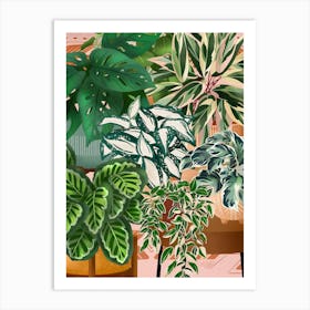 Plants In Pots 9 Art Print