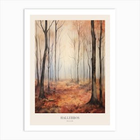 Autumn Forest Landscape Hallerbos Belgium Poster Art Print