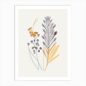 Caraway Spices And Herbs Minimal Line Drawing 1 Art Print