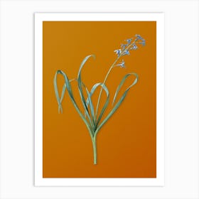 Vintage Dutch Hyacinth Botanical on Sunset Orange n.0703 Art Print