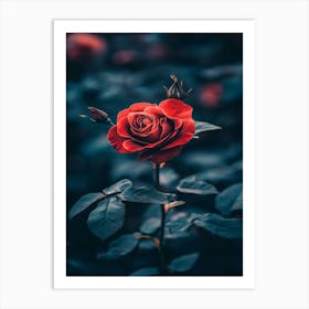 Rose In The Dark 21 Art Print