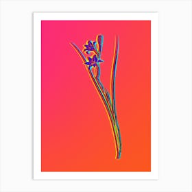 Neon Gladiolus Botanical in Hot Pink and Electric Blue n.0572 Art Print