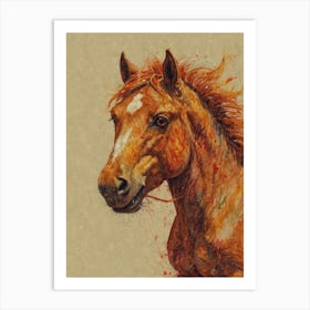 Horse Head Canvas Print Art Print