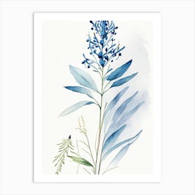 Blue Cohosh Herb Minimalist Watercolour 1 Art Print