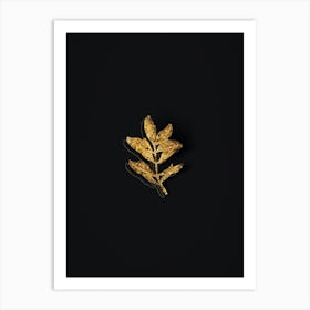 Vintage Buxus Colchica Twig Botanical in Gold on Black n.0258 Art Print