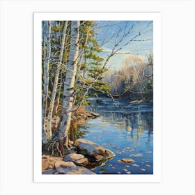 Birch Trees By The River 6 Art Print