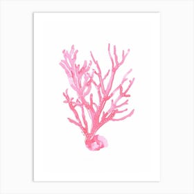 Coral Reef Coastal Art Print