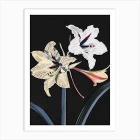 Neon Flowers On Black Amaryllis 1 Art Print