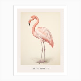 Vintage Bird Drawing Greater Flamingo Poster Art Print