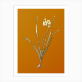 Vintage Gladiolus Lineatus Botanical on Sunset Orange n.0165 Art Print
