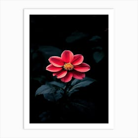 Dark Flower 8 Art Print