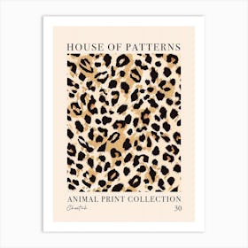 House Of Patterns Cheetah Animal Print Pattern 2 Art Print