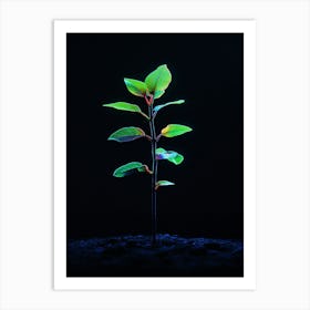 Young Green Plant On Black Background 7 Art Print