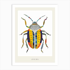 Colourful Insect Illustration June Bug 11 Poster Art Print