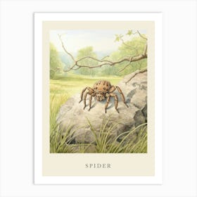 Beatrix Potter Inspired  Animal Watercolour Spider Art Print