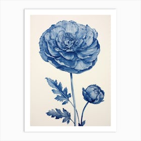 Blue Botanical Ranunculus 3 Art Print