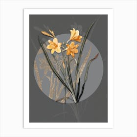 Vintage Botanical Daylily on Circle Gray on Gray n.0061 Art Print