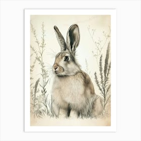 English Angora Blockprint Rabbit Illustration 5 Art Print