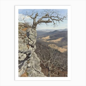 Rocky Ledge Art Print