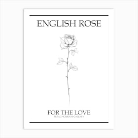 English Rose Black And White Line Drawing 27 Poster Art Print