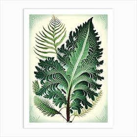 Soft Shield Fern 3 Vintage Botanical Poster Art Print