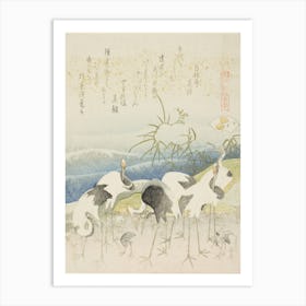 Herd Of Cranes Poster Print, Katsushika Hokusai Art Print