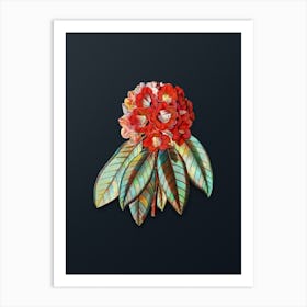 Vintage Rhododendron Rollissonii Flower Botanical Watercolor Illustration on Dark Teal Blue n.0403 Art Print