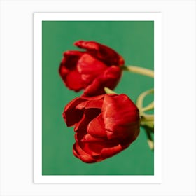 Red Tulips 2 Art Print