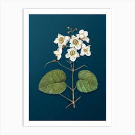 Vintage Catalpa Cordifolia Flower Botanical Art on Teal Blue n.0607 Art Print