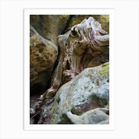 Wood and rock in the Elbe Sandstone Mountains Art Print