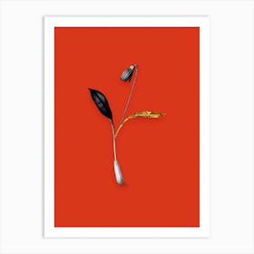 Vintage Erythronium Black and White Gold Leaf Floral Art on Tomato Red Art Print