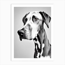 Great Dane B&W Pencil Dog Art Print