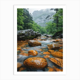 Orange Rocks In A Stream Art Print