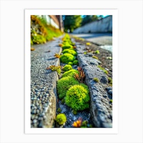 Asphalt Oasis Discover A Tiny Patch Of Verdant Mo (1) Art Print