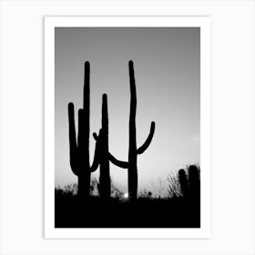 Saguaro Cactus Near Tucson, Arizona Art Print