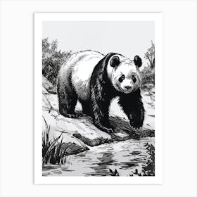 Giant Panda Standing On A Riverbank Ink Illustration 2 Art Print