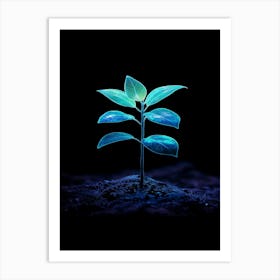 Small Green Plant On Black Background 29 Art Print