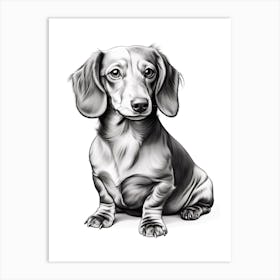Dachshund Dog, Line Drawing 4 Art Print