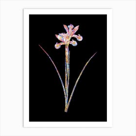 Stained Glass Spanish Iris Mosaic Botanical Illustration on Black Art Print