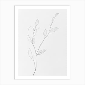 Branch Of Leaves 1 Art Print