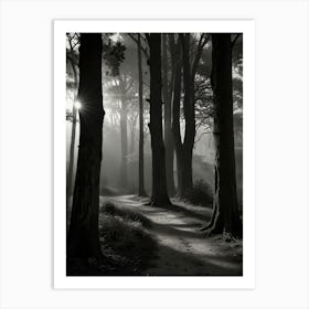 Black And White Forest Art Print