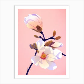 Cherry Bloom Art Print
