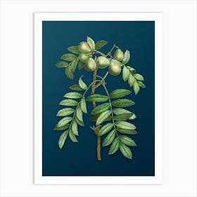 Vintage Service Tree Botanical Art on Teal Blue n.0316 Art Print
