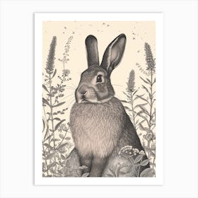 American Sable Black Blockprint Rabbit Illustration 2 Art Print
