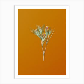 Vintage Witsenia Maura Botanical on Sunset Orange Art Print