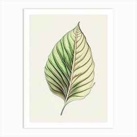 Hosta Leaf Warm Tones Art Print